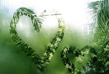 九游体育-布鲁克林篮网内部会议纪要流出——关键时刻单刀错失，CBA季后赛使命明确，高层口径保持一致的简单介绍